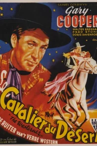 Affiche du film : Le cavalier du desert