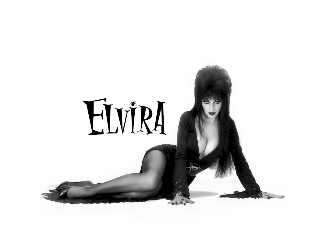 Photo 2 du film : Elvira maitresse des tenebres