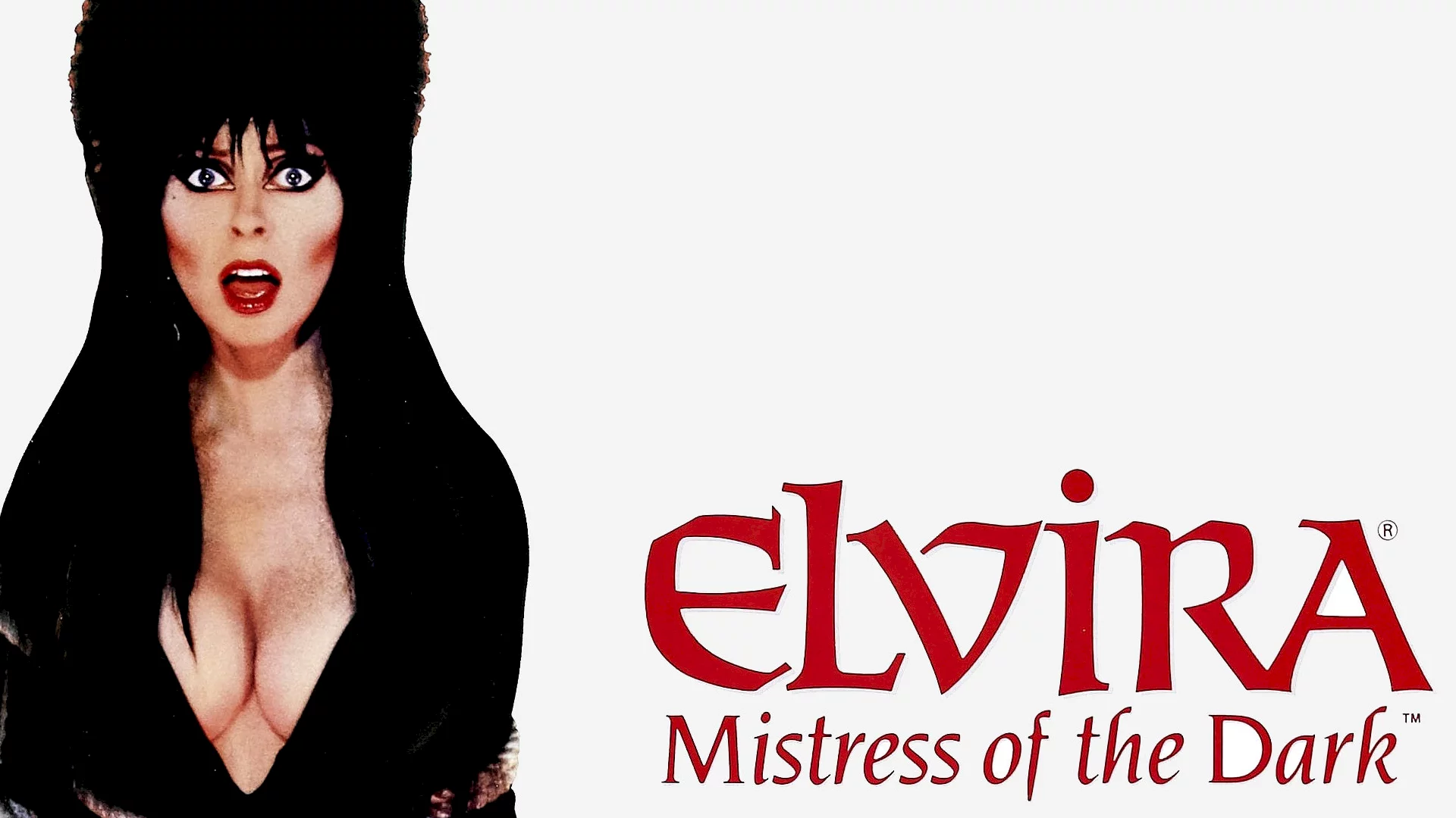 Photo 4 du film : Elvira maitresse des tenebres