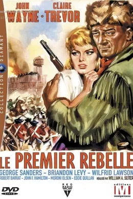 Affiche du film Le premier rebelle