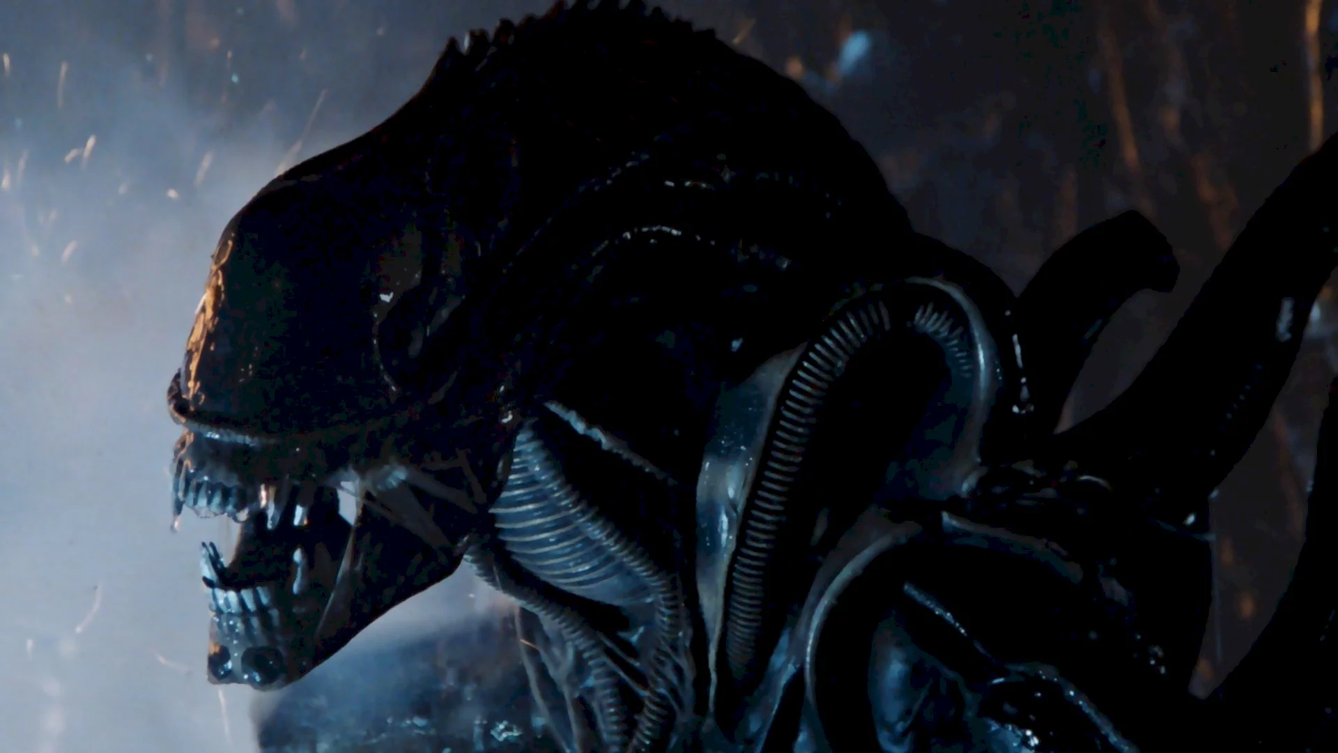 Photo 7 du film : Alien 3