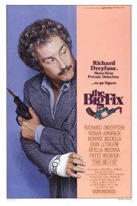 Affiche du film : The big fix