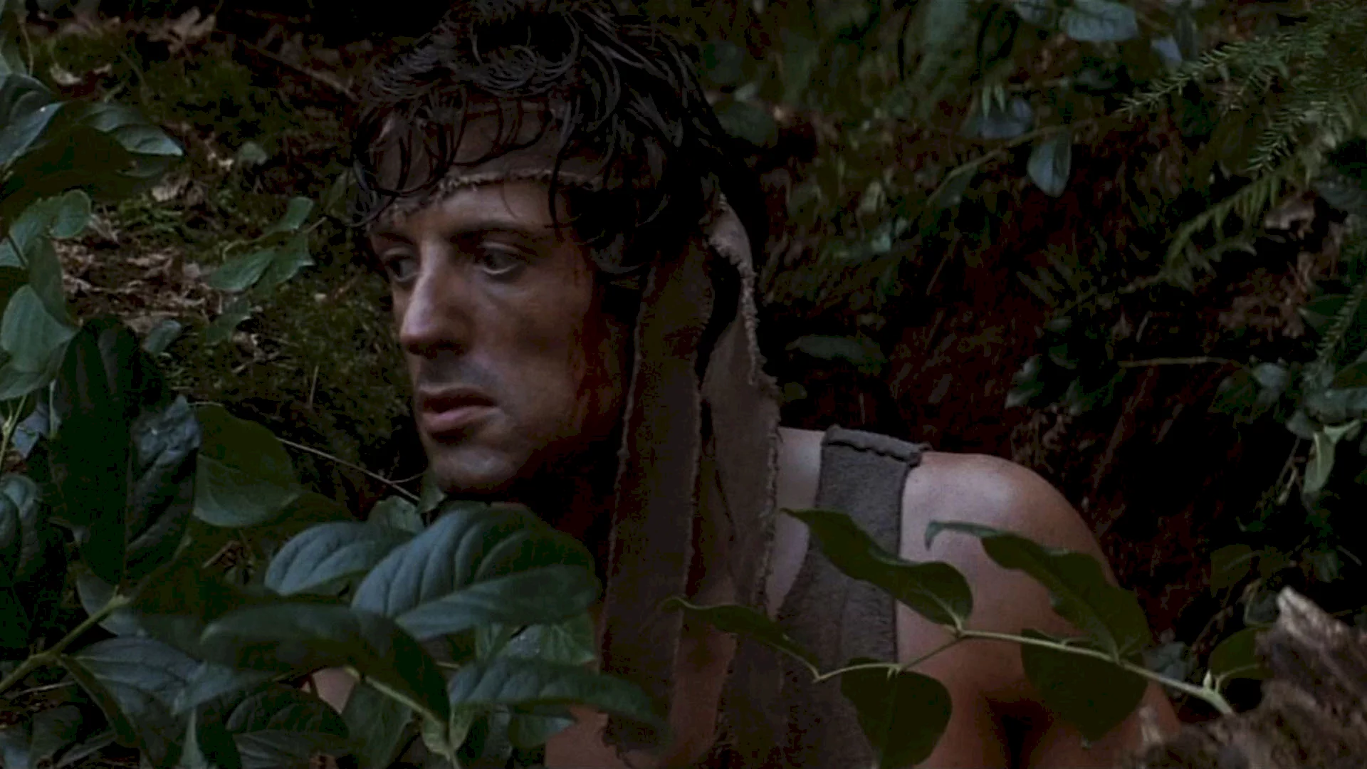 Photo 2 du film : Rambo