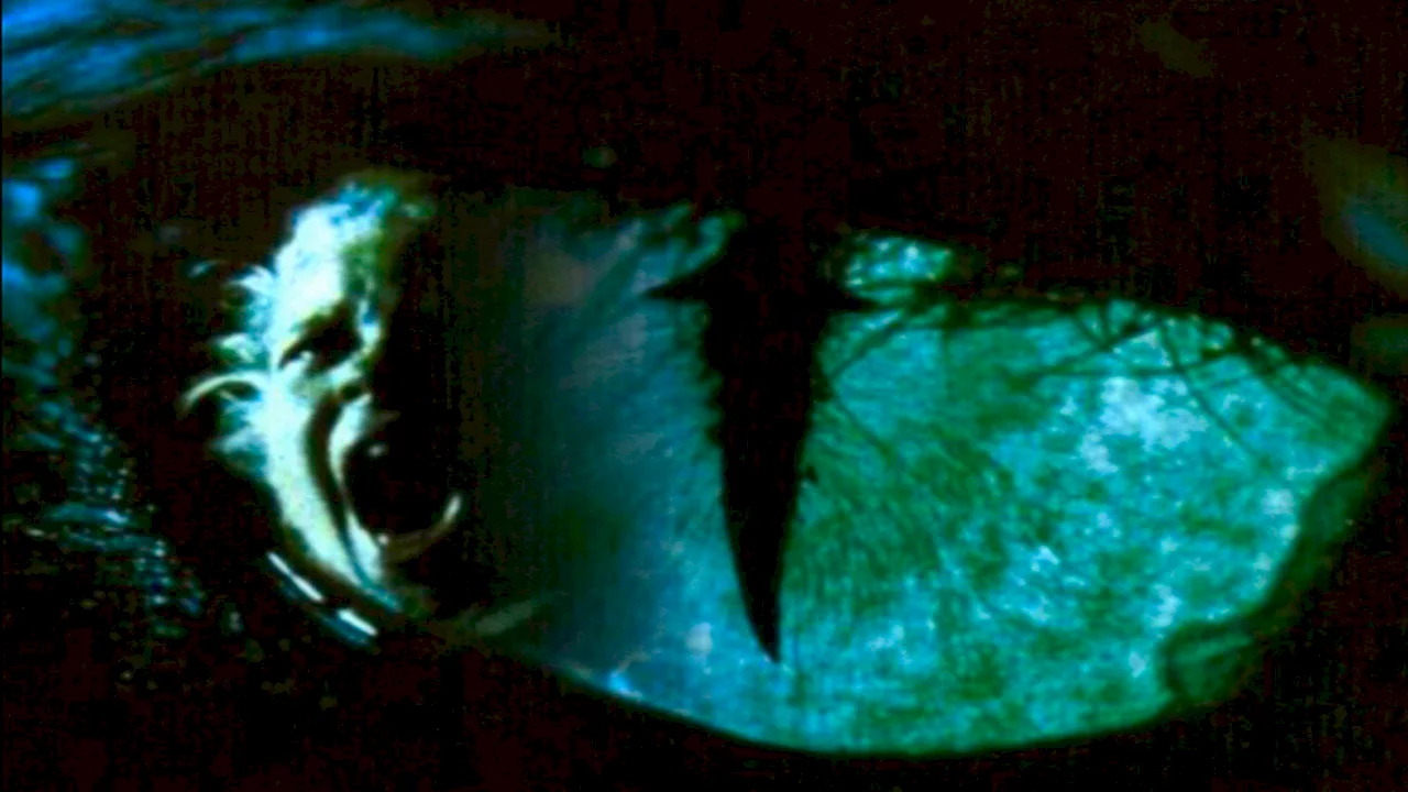 Photo 1 du film : Cat's eye