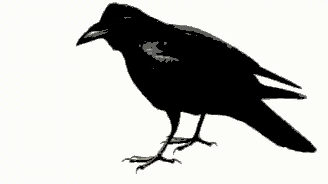 Photo du film : Le corbeau
