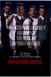 Affiche du film : Le gang des Newton