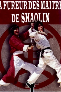 Affiche du film La fureur de shaolin