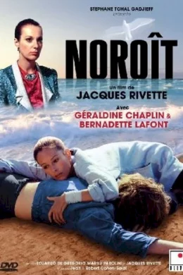 Affiche du film Noroit