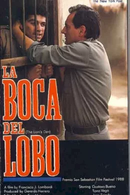 Affiche du film La Boca del Lobo