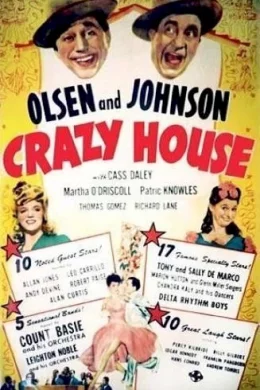 Affiche du film Crazy house