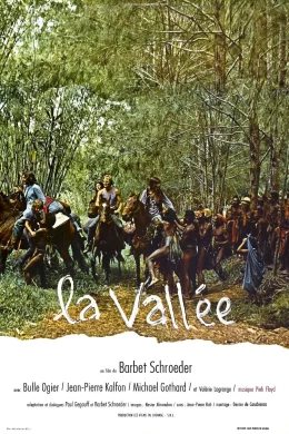 Affiche du film La vallee
