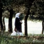 Photo du film : Au travers des oliviers