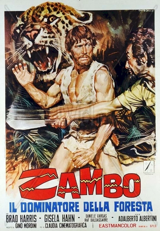 Photo 1 du film : Zambo