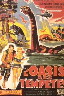 Affiche du film L'oasis des tempetes