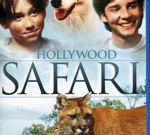Photo du film : Hollywood safari