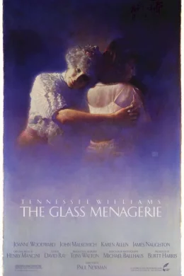 Affiche du film La menagerie de verre