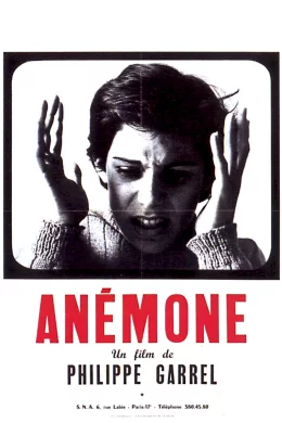 Affiche du film Anemone