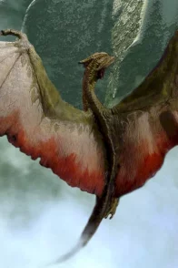 Affiche du film : Le dragon du lac de feu