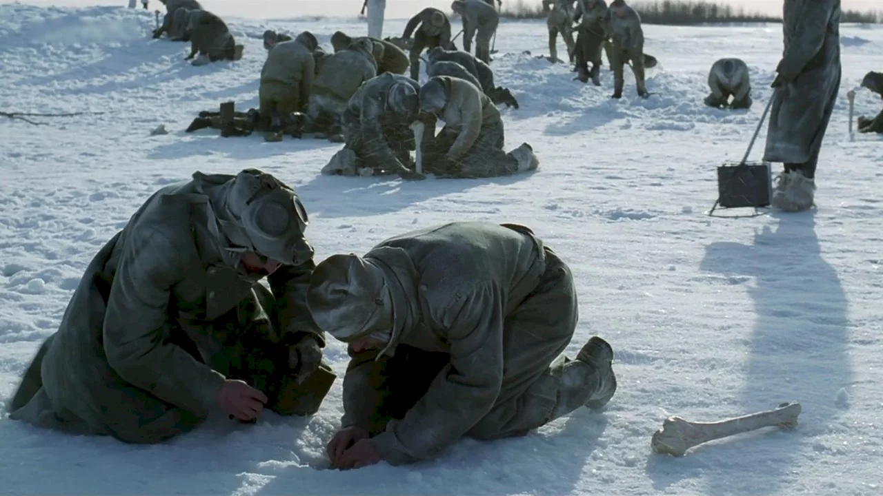 Photo du film : Stalingrad