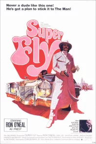 Affiche du film : Superfly