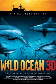 Affiche du film : Océan Sauvage : sardines mania