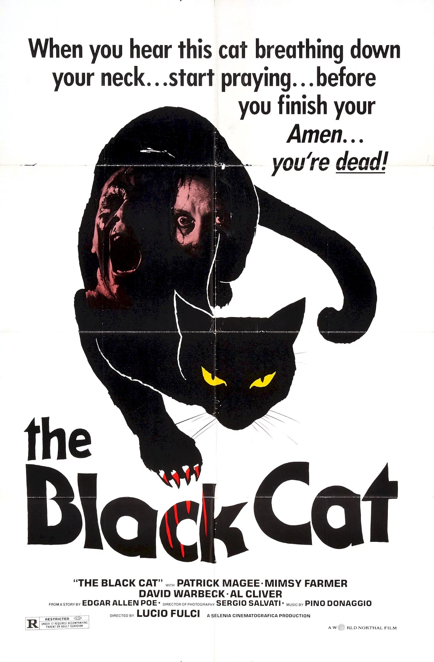 Photo 1 du film : Le chat noir