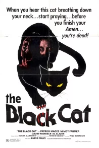 Affiche du film : Le chat noir