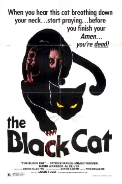 Affiche du film = Le chat noir