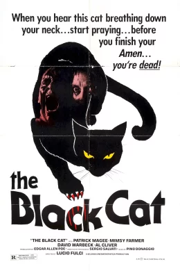 Affiche du film Le chat noir