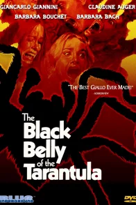 Affiche du film : La tarentule au ventre noir