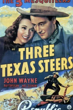 Affiche du film = Three texas steers
