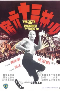 Affiche du film = La 36ème Chambre de Shaolin