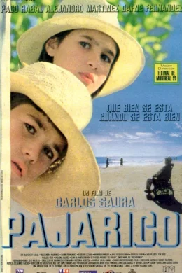 Affiche du film Pajarico