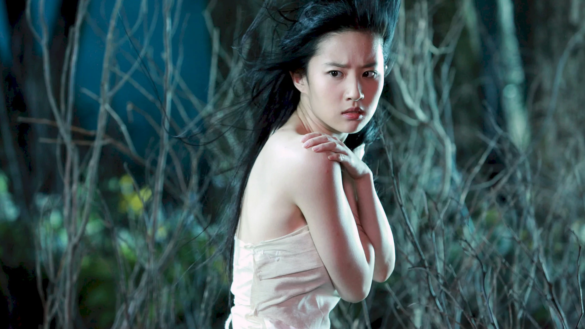 Photo 5 du film : A Chinese Ghost Story