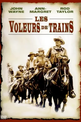 Affiche du film Les voleurs de train