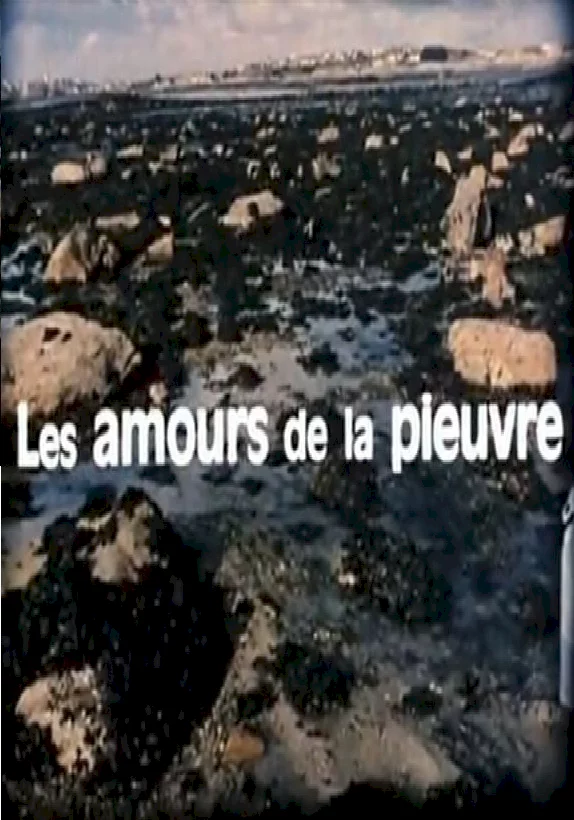 Photo 1 du film : Les amours de la pieuvre