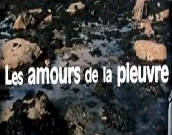Photo du film : Les amours de la pieuvre