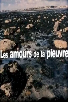 Affiche du film Les amours de la pieuvre