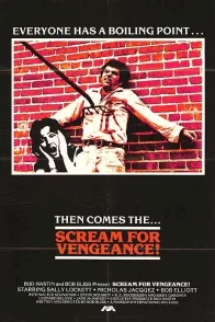 Affiche du film : Vengeance