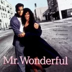 Photo du film : Mr wonderful