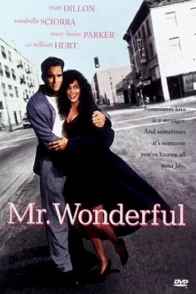Affiche du film : Mr wonderful