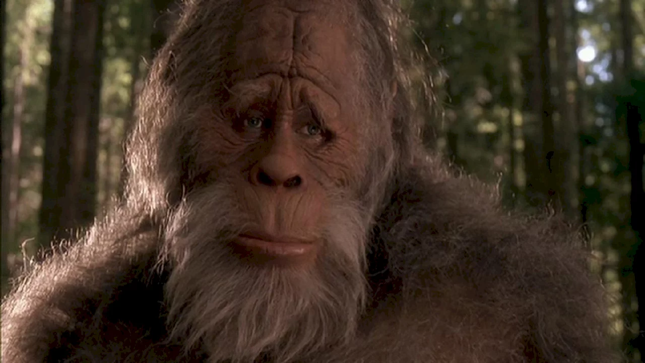 Photo 2 du film : Bigfoot et les henderson