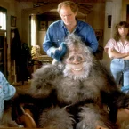 Photo du film : Bigfoot et les henderson