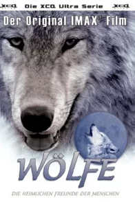 Affiche du film : Les loups