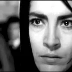 Photo du film : Zorba le grec