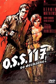 Affiche du film : OSS 117 se déchaîne
