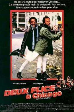 Affiche du film Deux flics a chicago