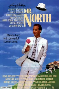 Affiche du film : Mr north
