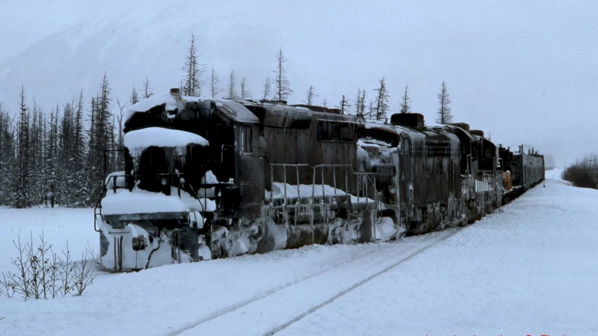 Photo 2 du film : Runaway train 