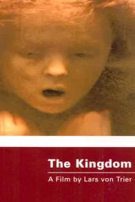 Affiche du film : The Kingdom